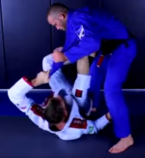 Lapel guard